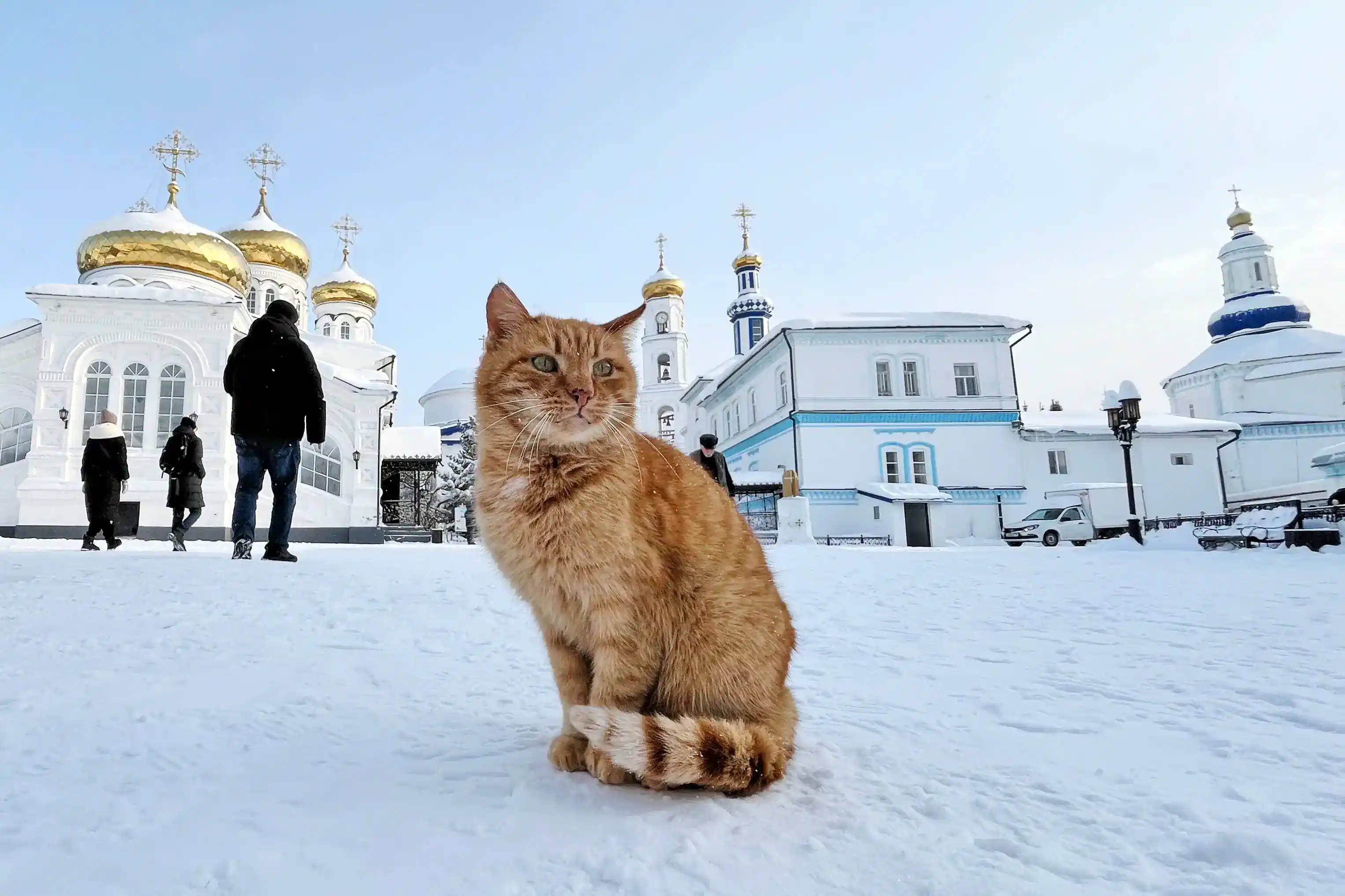 Раифская пустынь: тайны и возрождение — фото 8